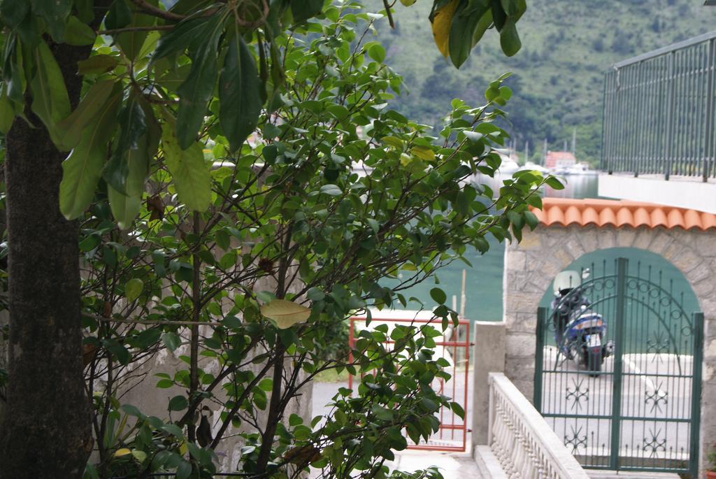 Apartment Kotor-Andrija Jovanovic 客房 照片